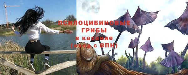 кристаллы Абаза
