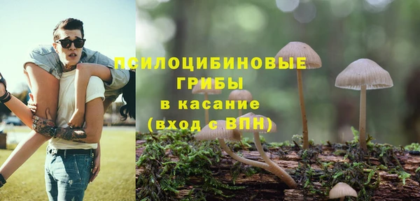 дживик Алексин